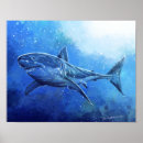 Suche nach hai poster Wasser