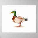 Recherche de canards art Élégant