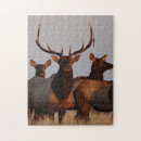 Recherche de elk puzzles Cervus canadensis