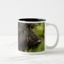 Recherche de écossais tasses Vacances