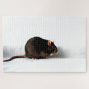 Suche nach niedliche ratte puzzle Weiß