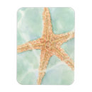 Recherche de poissons magnets Étoile