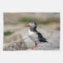 Suche nach puffin geschirr tücher Atlantischer puffsack
