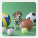 Suche nach welpen aufkleber Veterinäramt