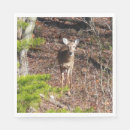Recherche de photographie serviettes Nature