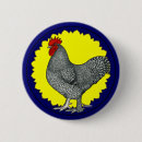 Recherche de rooster buttons Poulet