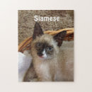 Recherche de de chat siamois puzzles Mignon