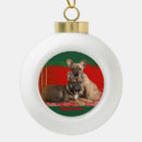 Suche nach bulldoggen ornamente Frenchie