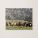 Suche nach wilde mustangs puzzle Western