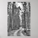 Recherche de enroulé posters Blanc