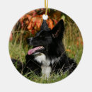 Suche nach pam wohnen zuhause Hundefotograf