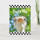 Suche nach ostrich karten Lustig