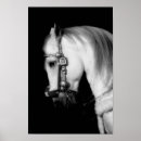 Suche nach stallion kunst Modern