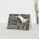 Suche nach mustang karten Wild