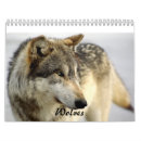 Recherche de loup calendriers Sauvage