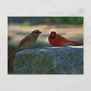 Suche nach pair poster Fotografie