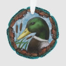 Recherche de canard en plastique ornements Canards