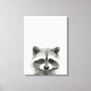 Suche nach raccoon leinwandbilder Tier