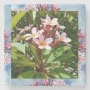 Suche nach frangipani untersetzer Blume
