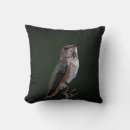 Recherche de colibri photographie Photographie de la faune