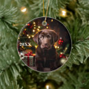 Suche nach reinrassiger hund ornamente Weihnachten