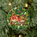 Suche nach weihnachtsvögel ornamente Weihnachten