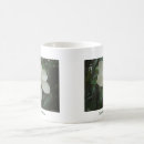 Suche nach magnolie tassen Blume