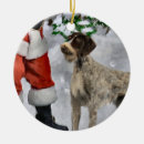 Suche nach deutsch drahthaar ornamente Weihnachten