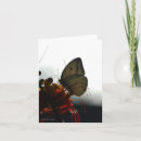 Suche nach einsamkeit karten Natur