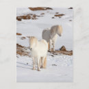 Recherche de le cheval blanc cartes postales Neige