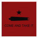 Recherche de étoile solitaire posters Texan