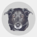 Suche nach schwarzer hund aufkleber Labrador