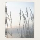 Recherche de dunes photographie Paysages marins