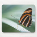 Recherche de ailes papillon tapis souris Nature