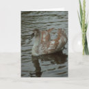 Suche nach die schweiz karten Natur