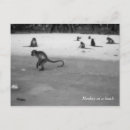 Recherche de phi de phi de koh cartes postales Plage