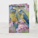 Recherche de perruque vœux cartes Oiseau