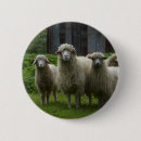 Recherche de moutons badges Nature