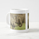 Suche nach indischer elefant tassen Asiatisch