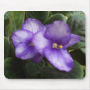 Recherche de violettes africaines tapis souris Fleurs