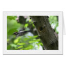 Suche nach flaumige postkarten Vogel