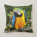 Recherche de ara coussins Faune