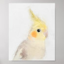 Suche nach cockatiel poster Niedlich