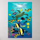 Recherche de poissons tropicaux posters Pour elle