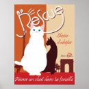 Suche nach tierrettungs poster Katze