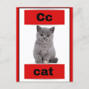 Suche nach alphabet karten Katze