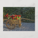 Suche nach alte blumen postkarten Antiquarisch