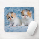 Recherche de chaton bébé tapis souris Peluche