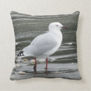 Recherche de mouettes coussins L'eau