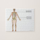 Suche nach körperteil puzzle Büroplakate